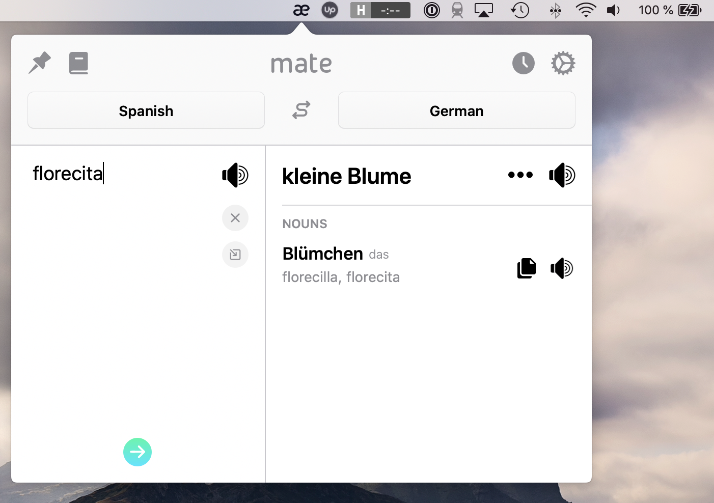Mate Translate übersetzt ein markiertes Wort