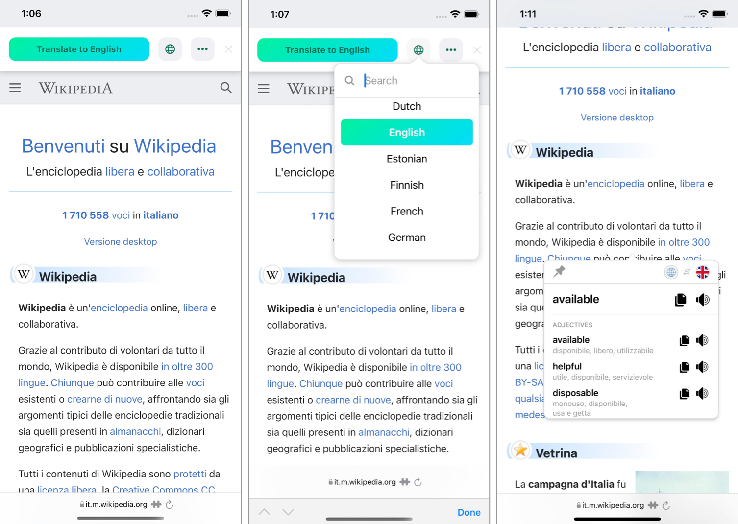Mate Translate on iPhone